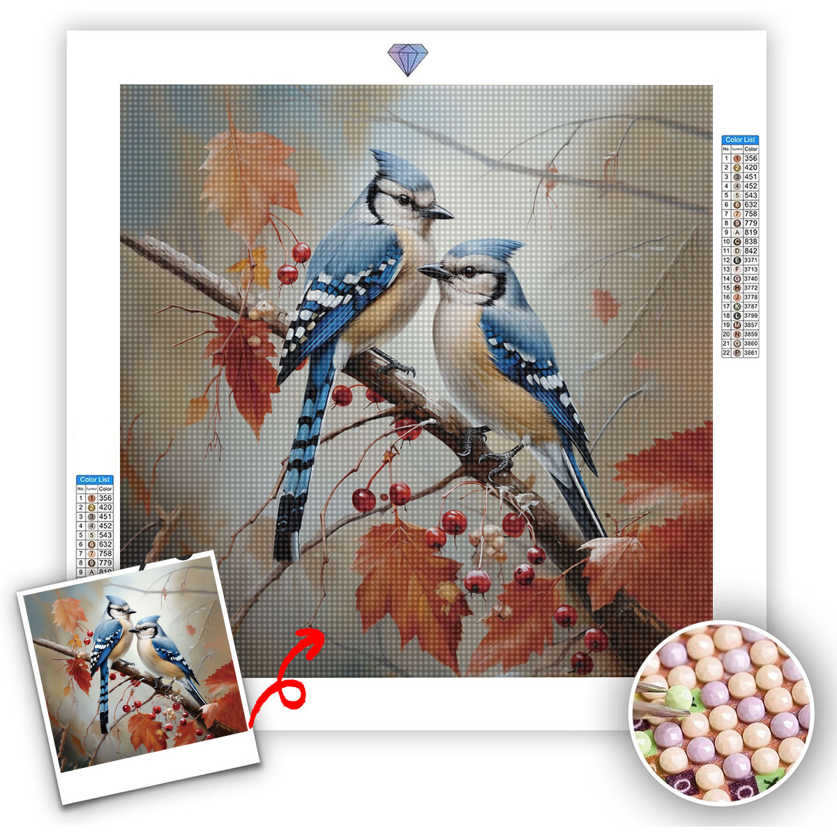 Aangepaste 5D DIY Diamant Schi - Resin Art Acrylic recensie en prijs